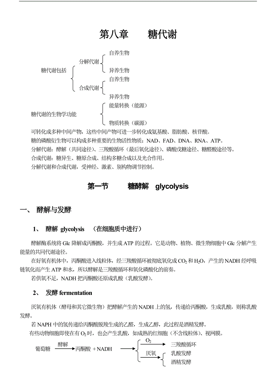 第八章  糖代谢_第1页