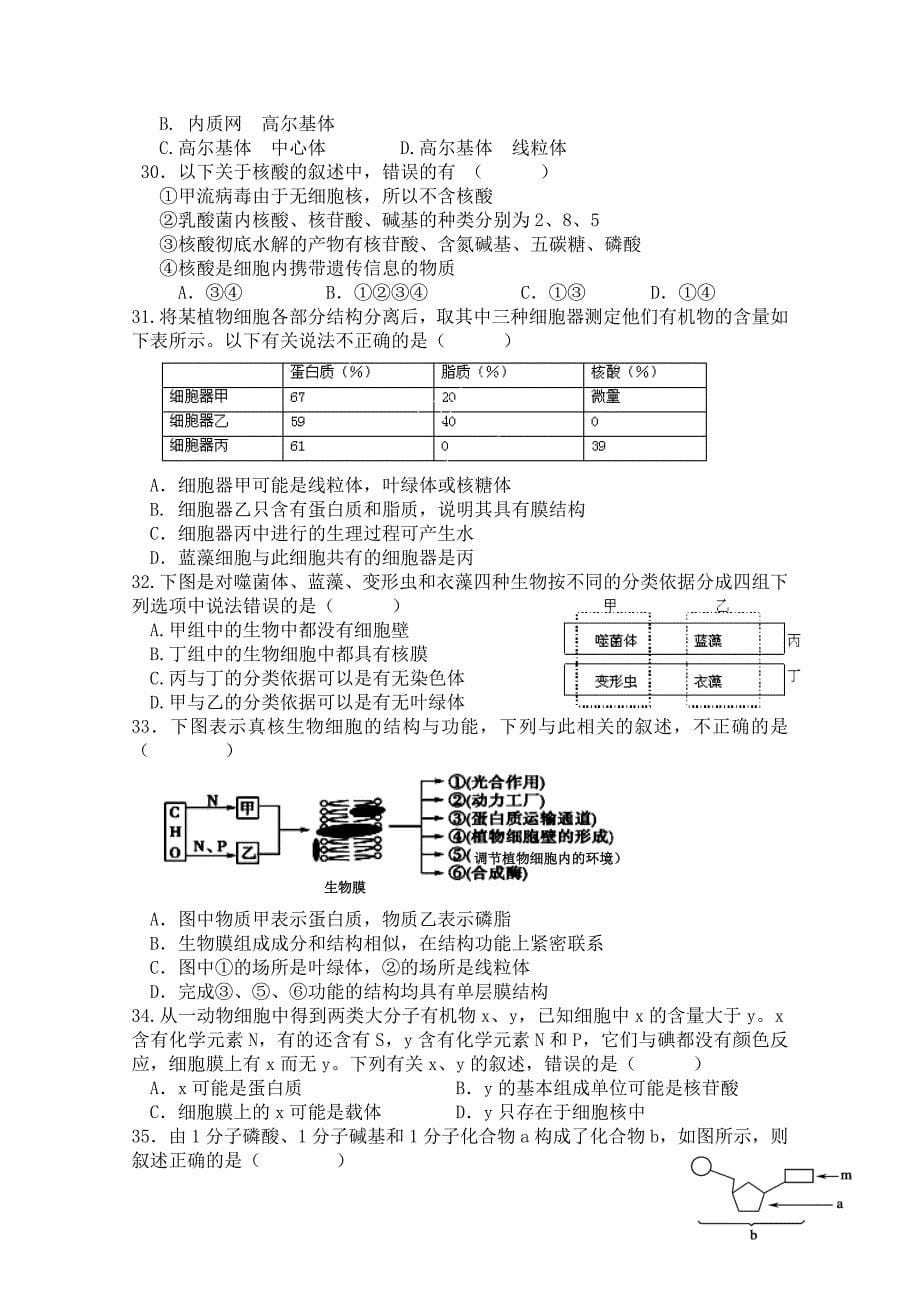 湖南省2014-2015学年高一上学期期中考试  生物 含答案_第5页