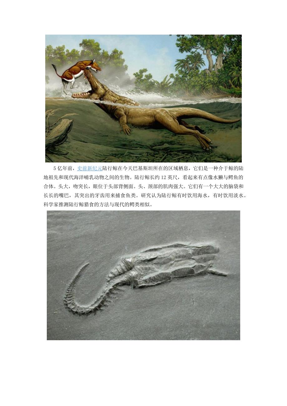 比恐龙更怪异13种动物：陆行鲸像水獭鳄鱼合体_第1页