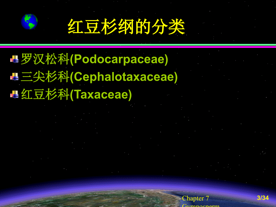 第五节红豆杉纲Taxopsida_第3页