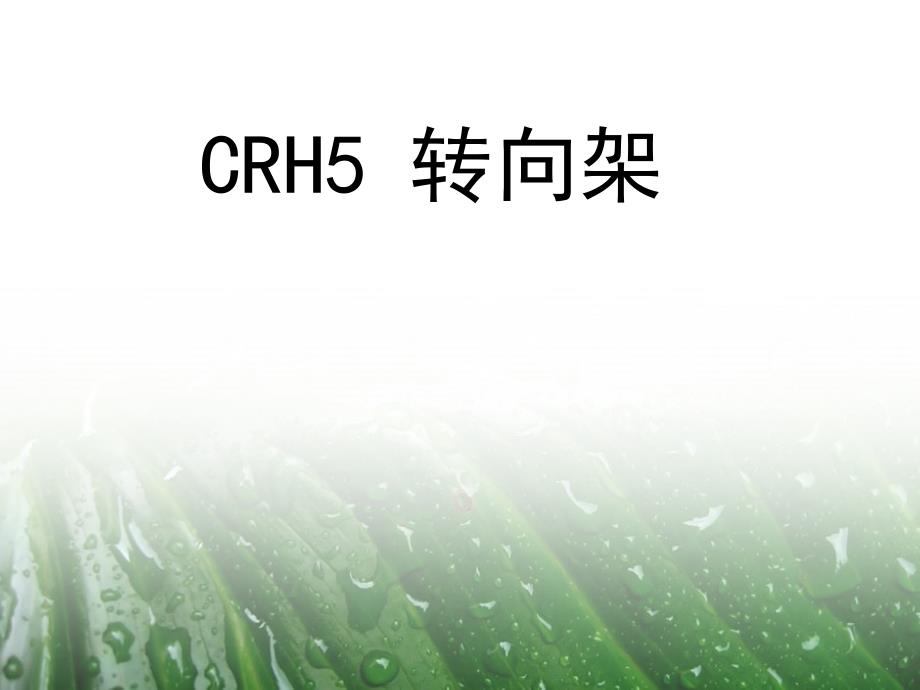 和谐5号动车组CRH5转向架_第1页