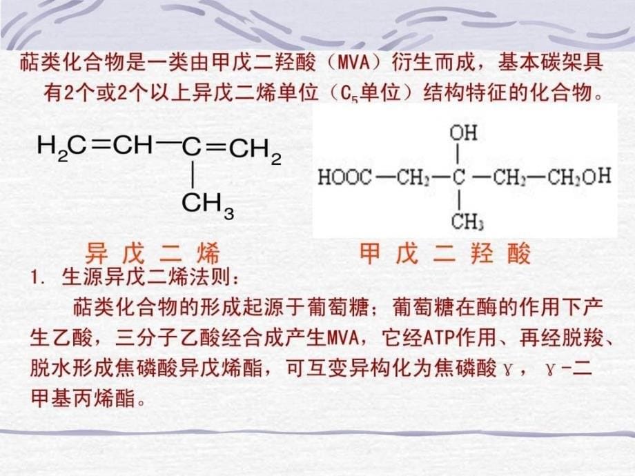 《天然药物化学》萜类和挥发油章节的课件_第5页