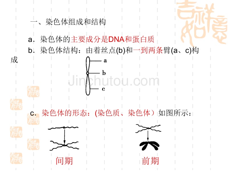 细胞分裂过程中染色体形态结构数量行为变化_第3页