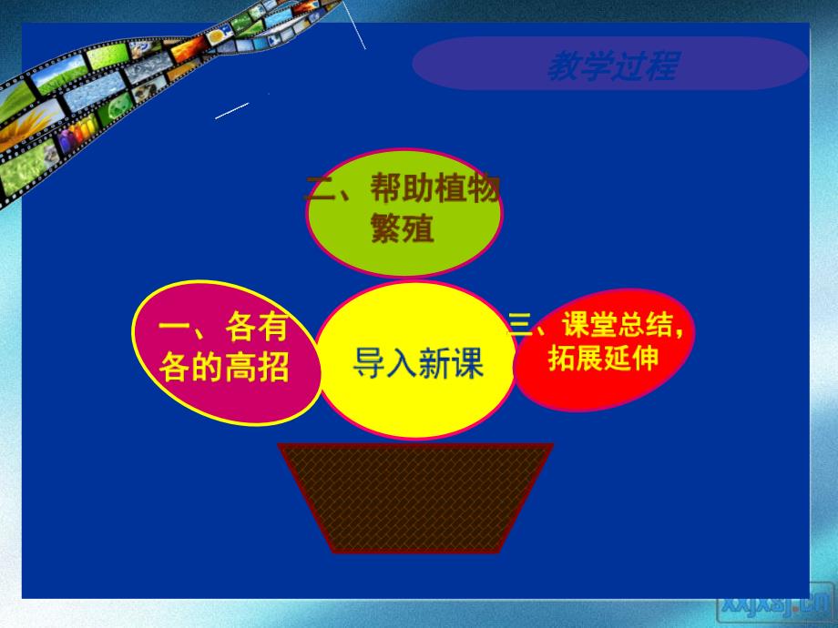 落地生根——河北师范大学附属实验小学耿茜闫茹_第2页