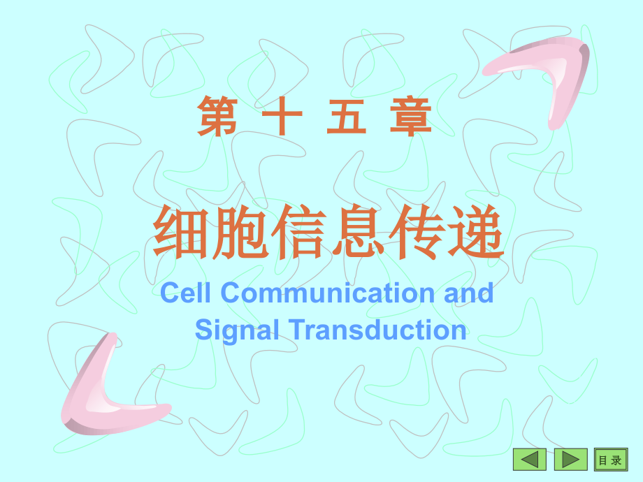 沈阳药科大学生物化学课件细胞信息转导_第1页