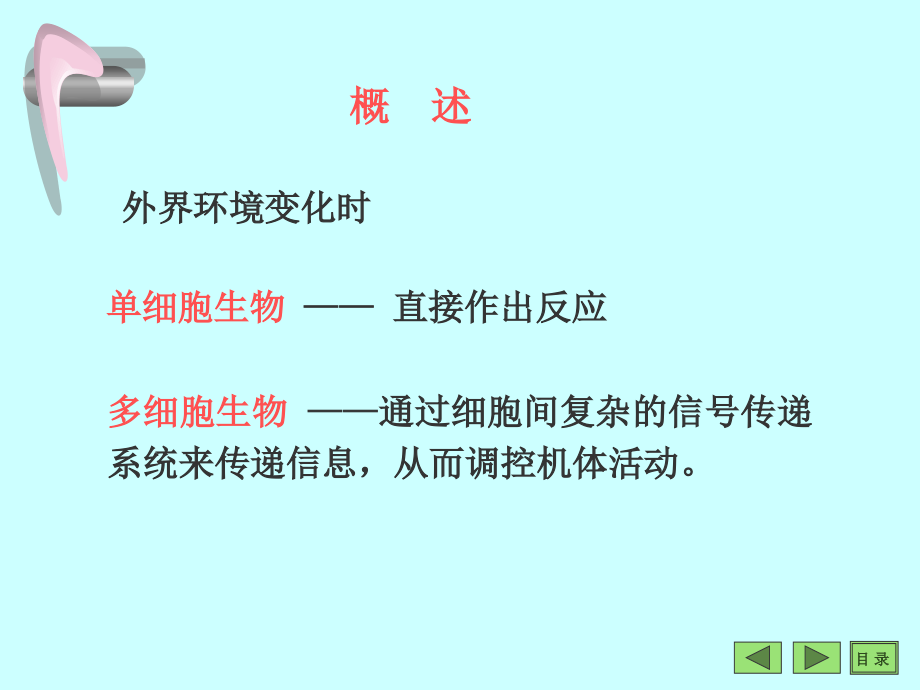 沈阳药科大学生物化学课件细胞信息转导_第2页