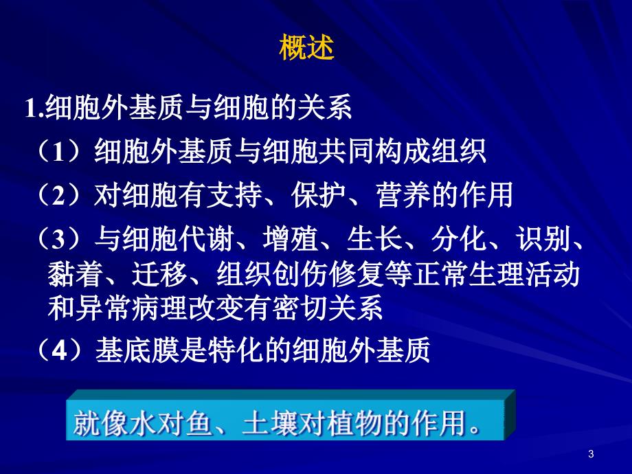 细胞外基质及其与细胞的相互作用_第3页