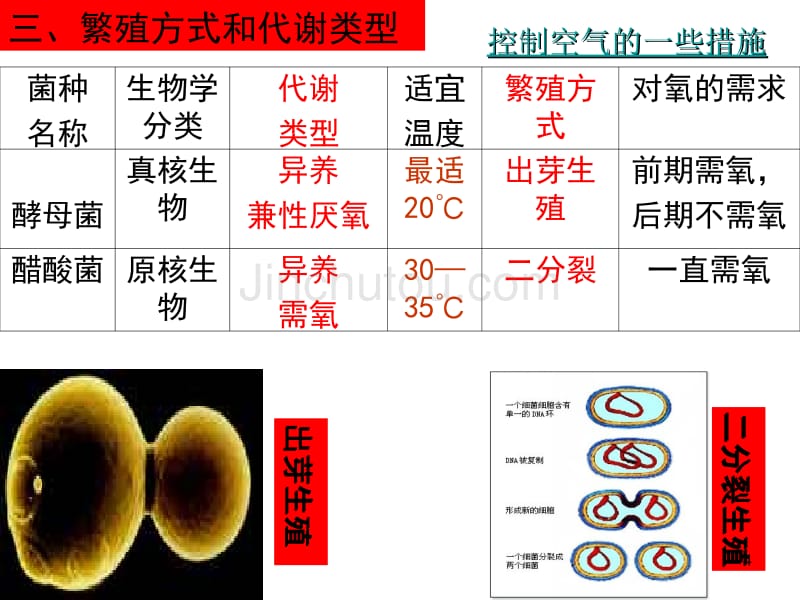 人教版高中生物选修1全套课件(正版)1_第4页