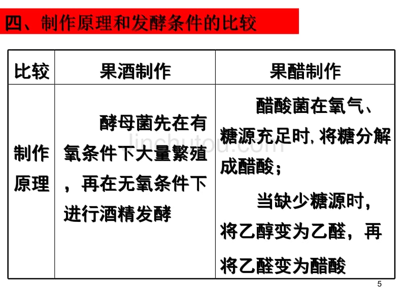 人教版高中生物选修1全套课件(正版)1_第5页