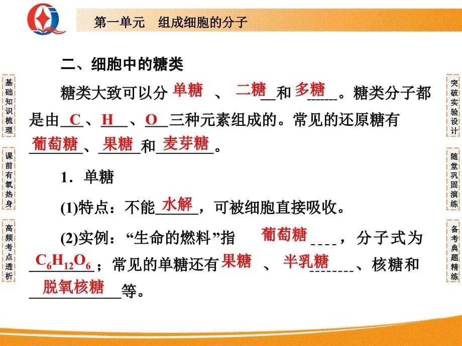 细胞中的核酸、糖类和脂质_第5页