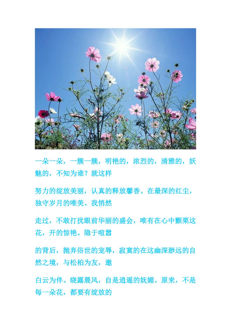 我为花动凡尘梦花为谁香寂寞心(附图)(唯美)_第4页