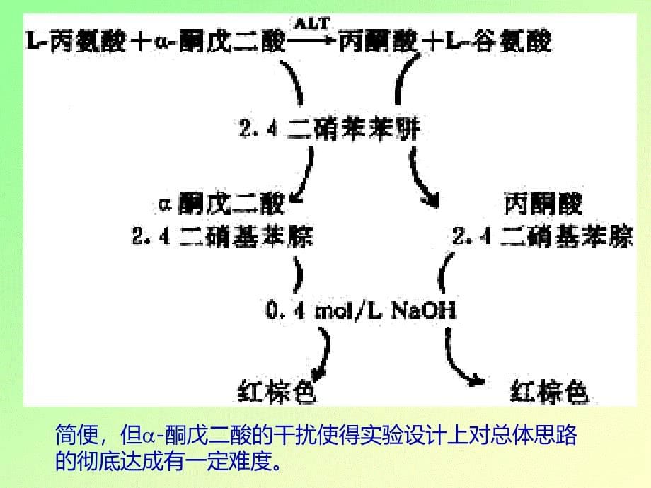 转氨酶实验前讨论_第5页