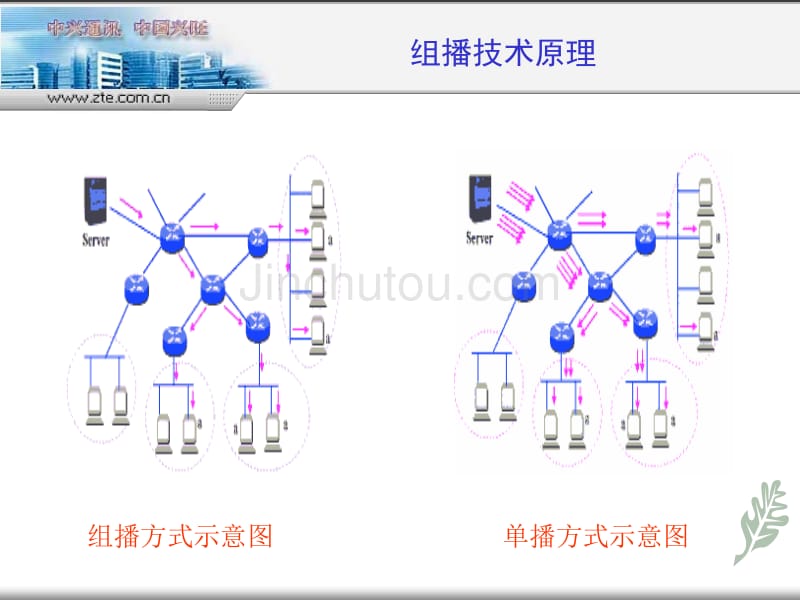 中兴组播技术培训_第4页