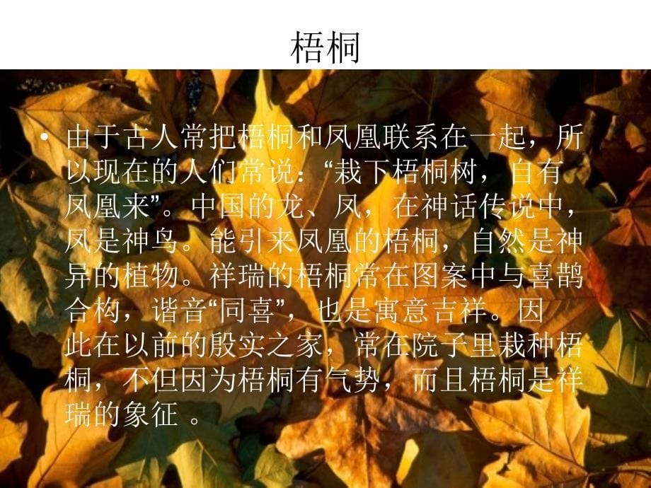 汉德植物词汇的吉祥语义_第5页