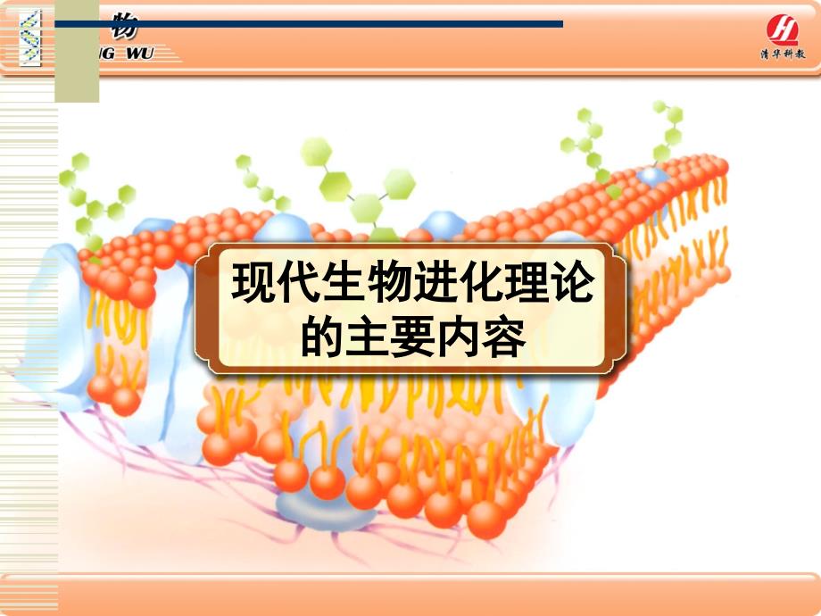 生物学②必修《现代生物进化理论的主要内容》课件_第1页