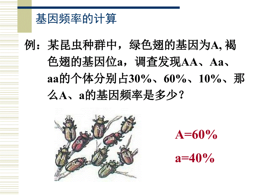 生物学②必修《现代生物进化理论的主要内容》课件_第4页