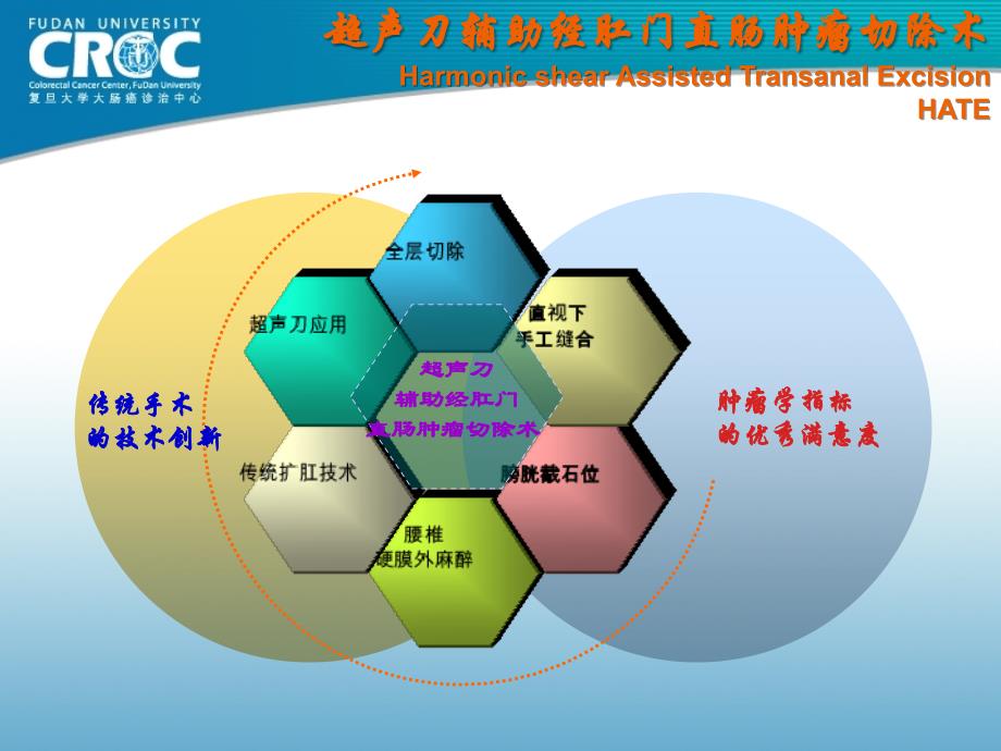 经肛门低位直肠肿瘤局部切除的技术比较_第3页