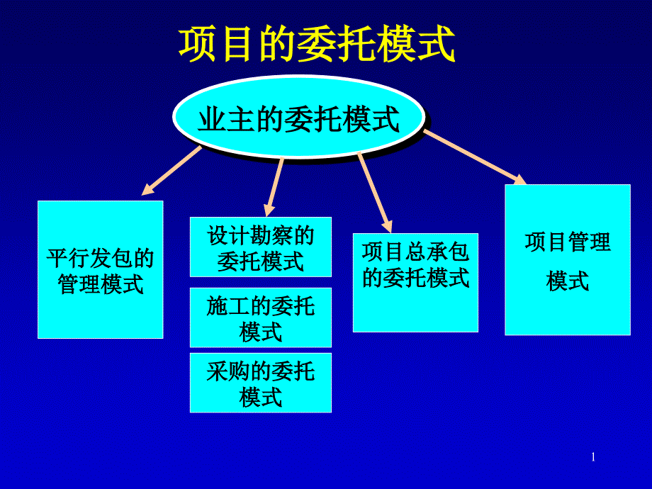 建设项目的实施方式_第1页