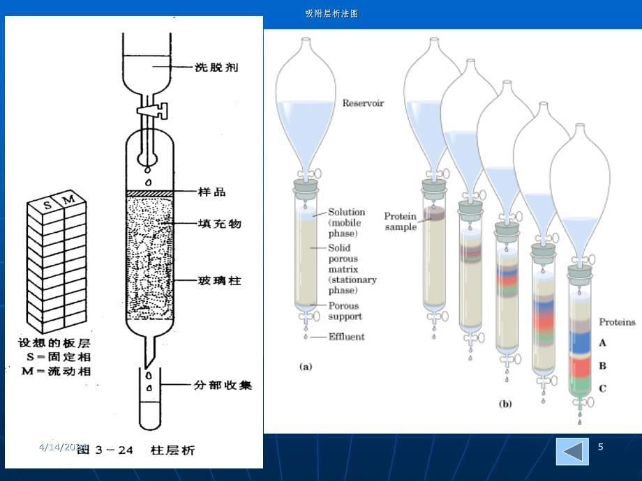 食品酶学课件本(酶的分离纯化第四节分离方法)_第5页