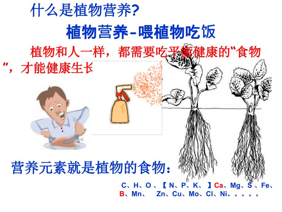 谈谈草莓施肥(NXPowerLite)_第1页