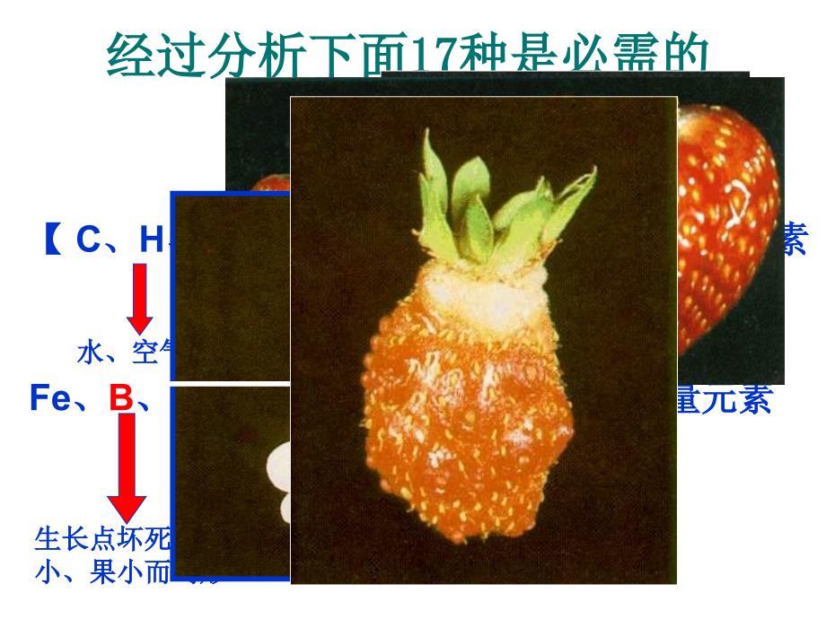 谈谈草莓施肥(NXPowerLite)_第4页