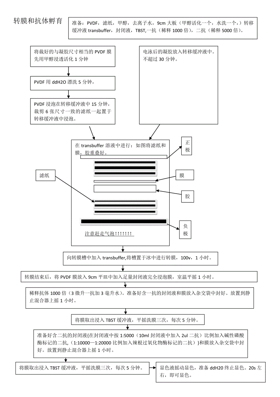 （新编）转膜过程1_第1页
