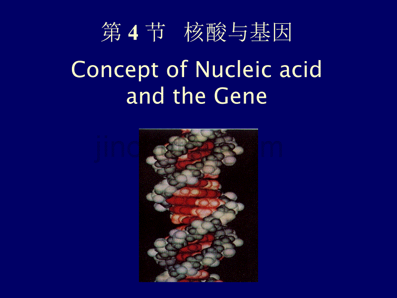 南京农业大学生物化学课件_第1页