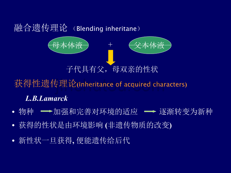 南京农业大学生物化学课件_第4页