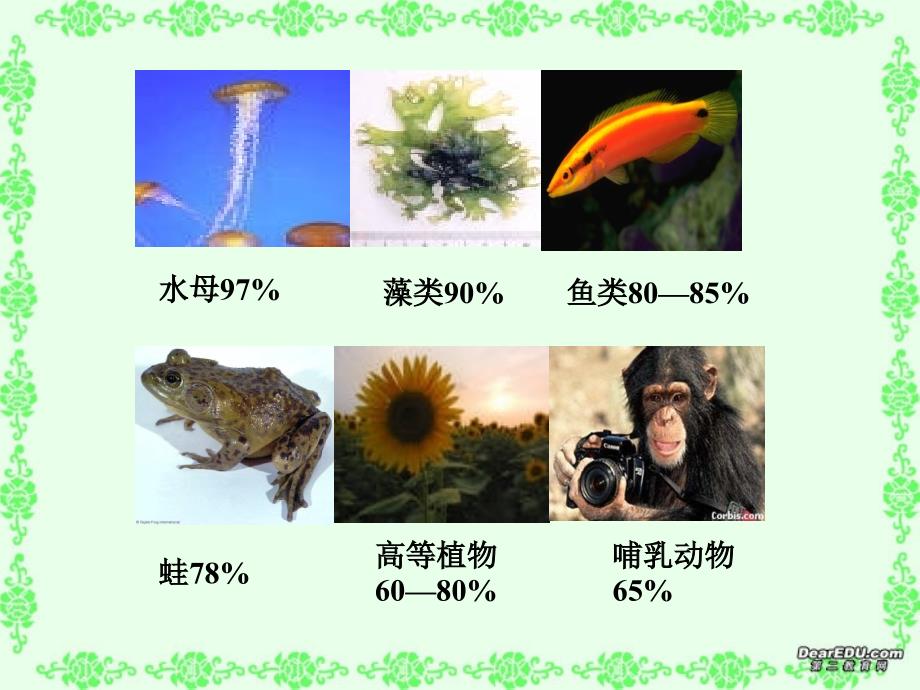 第五节细胞的无机盐1_第2页