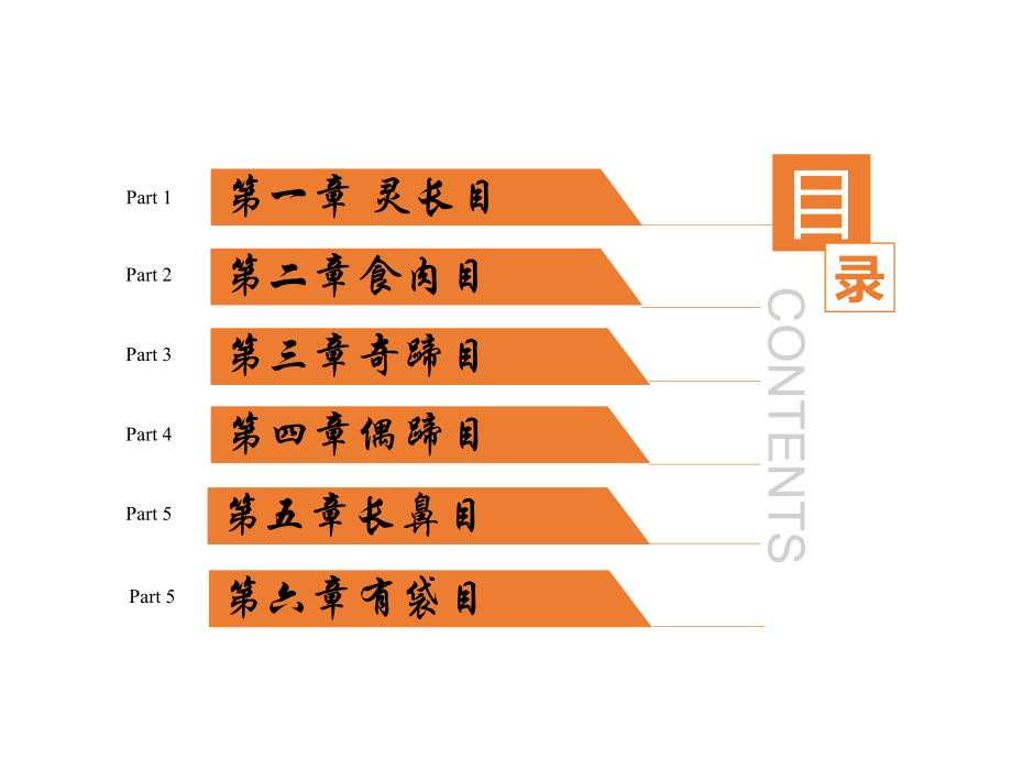 野生动物饲养管理——兽纲_第2页