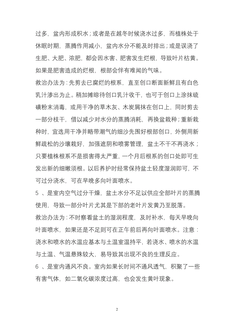 （新编）橡皮树养殖方法_第2页