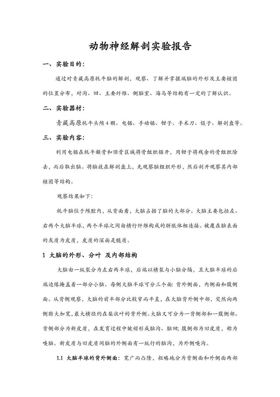 （新编）神经解剖作业_第1页