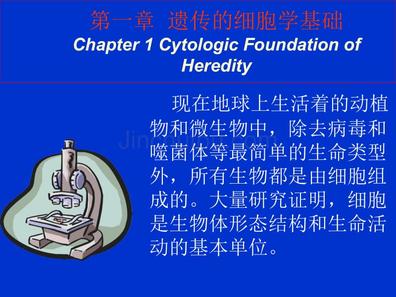 遗传学2  第一章 细胞学基础演示文稿_第1页