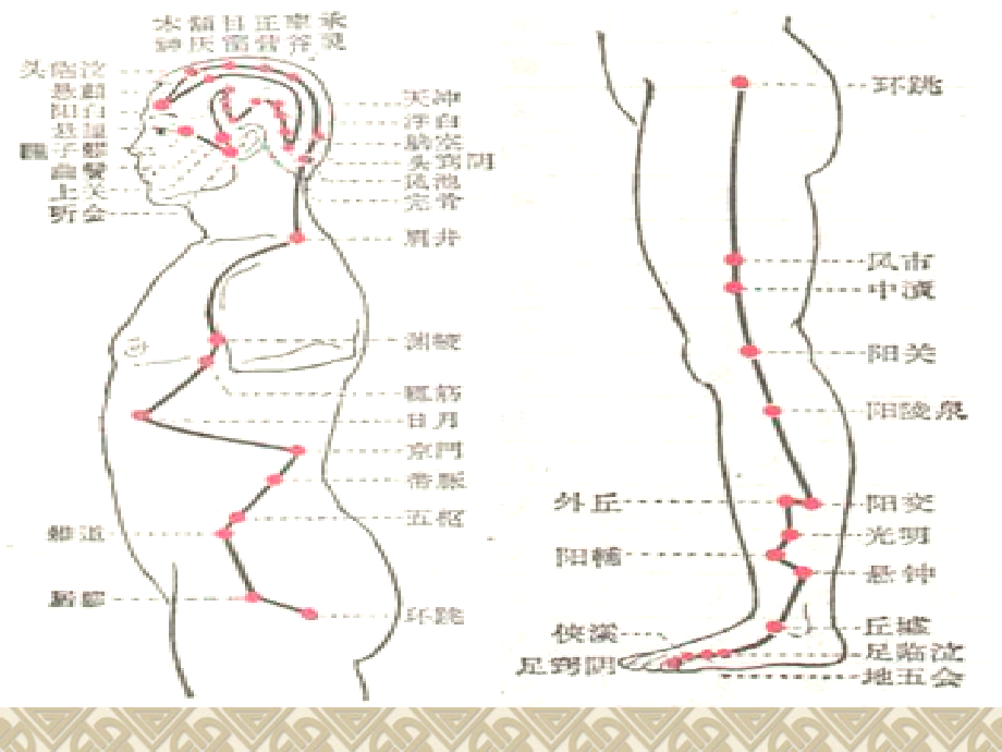 第四章简易中医疗法09-1_第4页