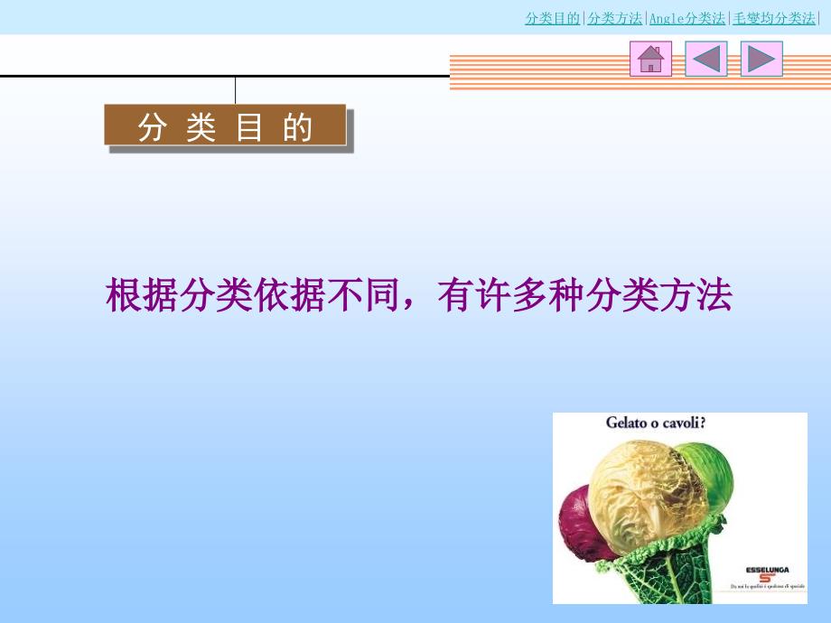 分类的目的分类的方法ANGLE分类法毛燮均分类法_第3页