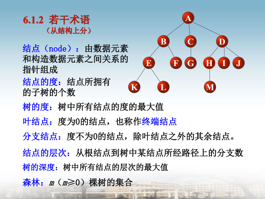 大学数据结构课件树和二叉树_第3页