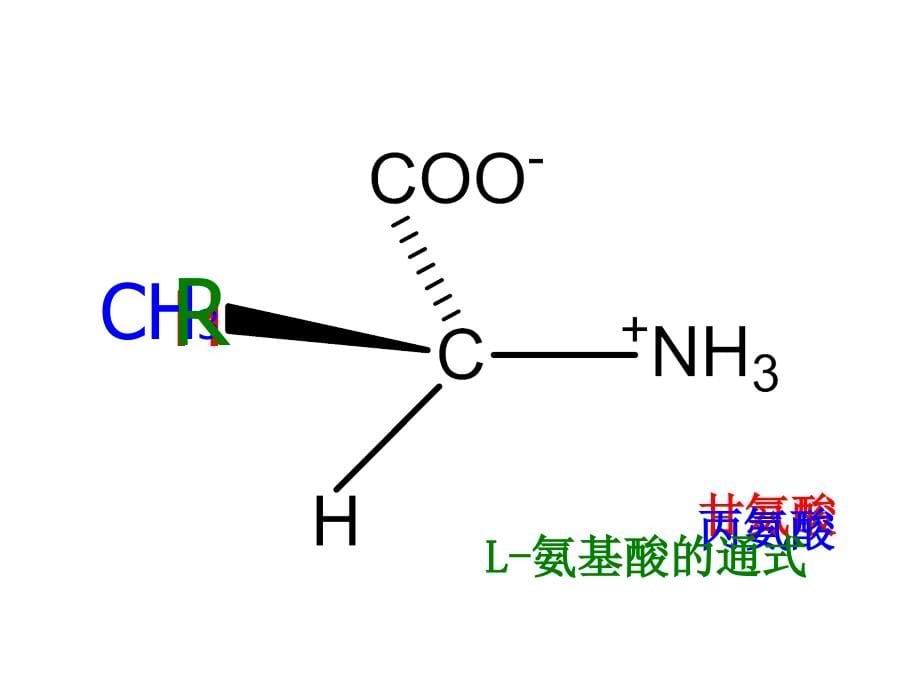 第一节 氨基酸的结构与分类 第二节 氨基酸的性质_第5页