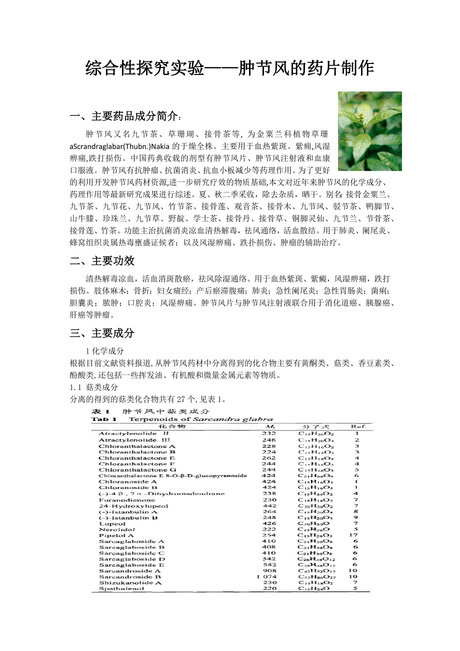 （新编）综合性探究实验_第1页
