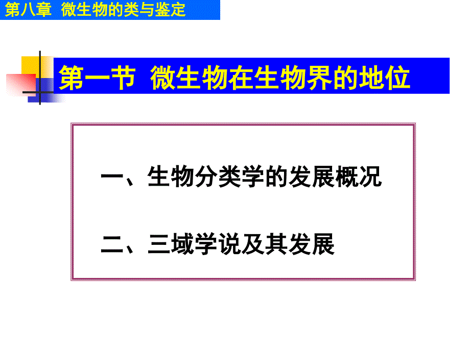 第八章微生物的分类与鉴定_第2页