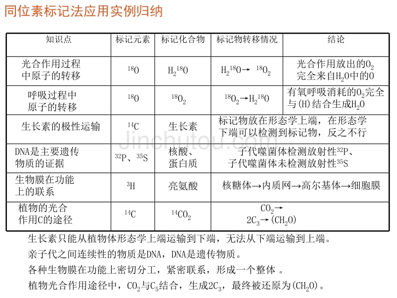 同位素标记法应用实例归纳_第2页