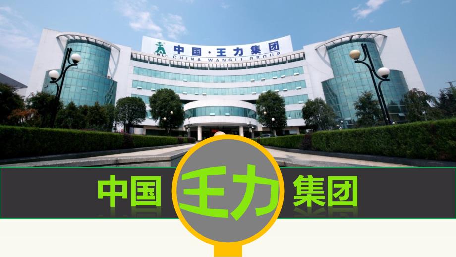 王力集团简介_第1页