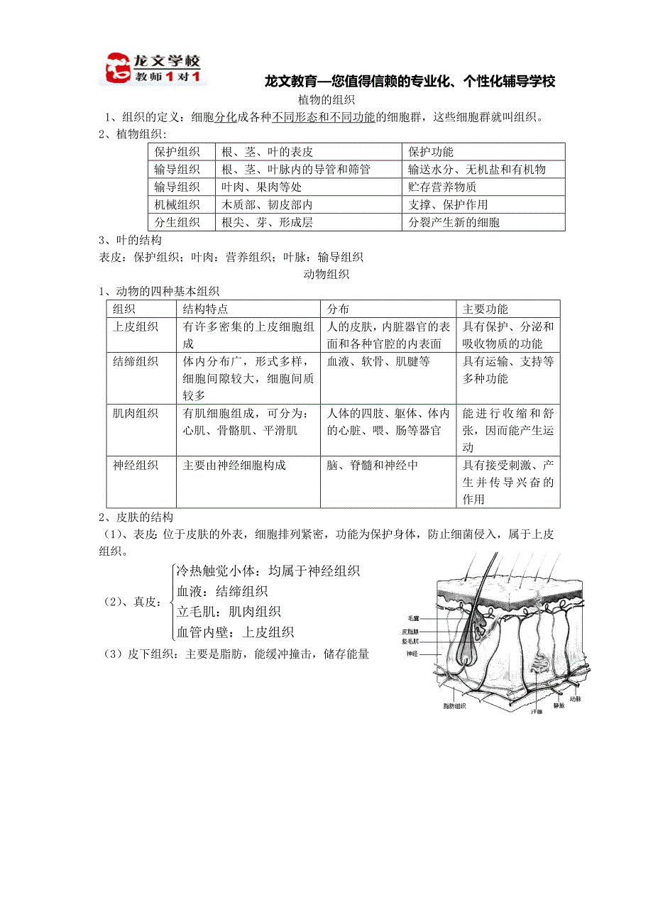 （新编）植物和动物组织讲义_第1页