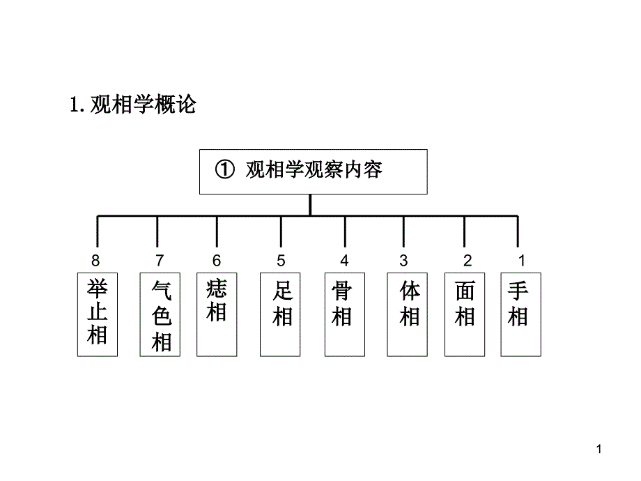 观相学原理与实践_第2页