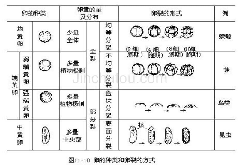 省竞赛辅导动物分类下_第3页