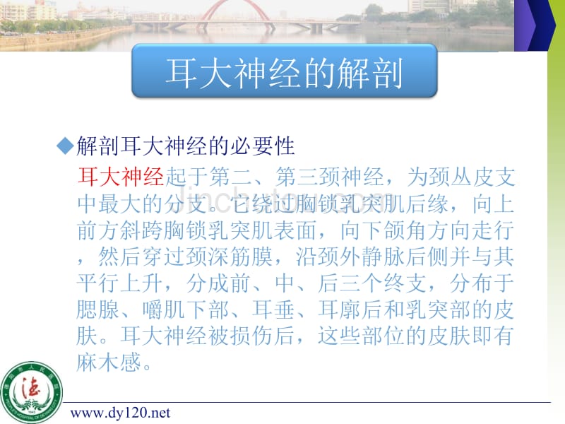 腮腺手术中耳大神经和面神经总干解剖经验分享_第4页