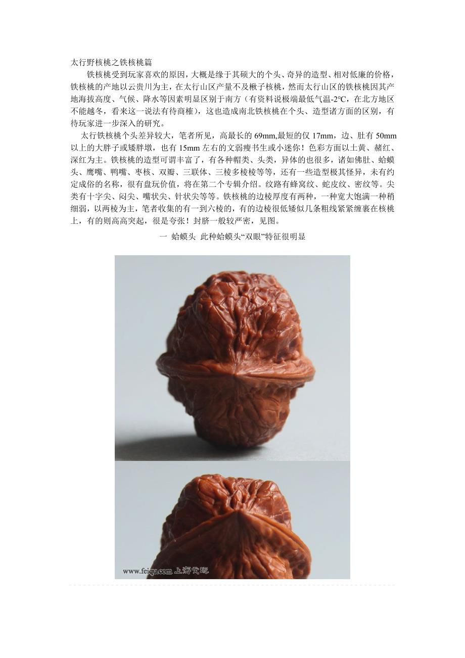 太行野核桃之铁核桃篇_第1页