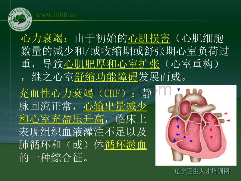 治疗慢性心功能不全药物_第2页