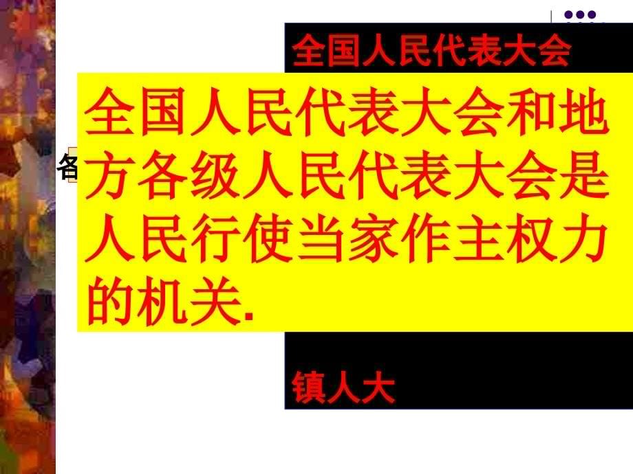 第二十二、二十三课时人民当家作主的法治国家_第5页