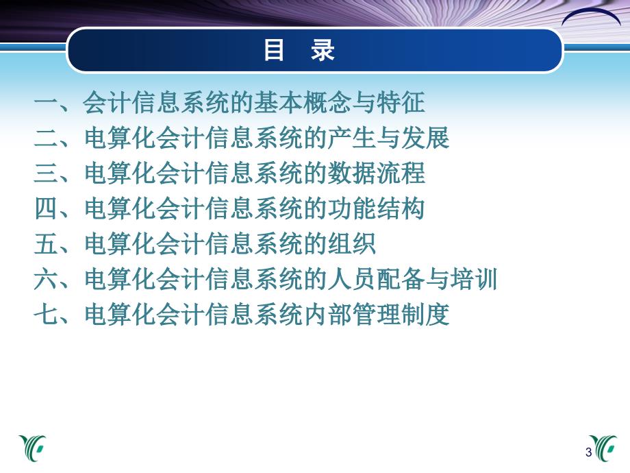 1会计信息系统概论_第3页