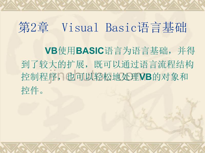 VisualBasic语言基础_第2页